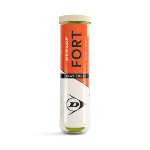 Boîte de 4 Balles Dunlop Fort Clay Court